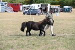 WJ6_6817