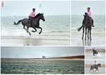 Collages11
