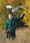 The  Falconer