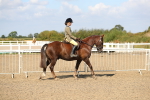 SBM_03096