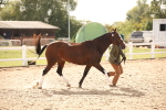 SBM_08199
