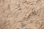 241117X-123450-04576