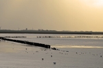 Waddenzee, Friesland, Netherlands