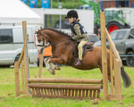 Dunblane show-88