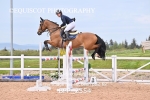 BPP_2554