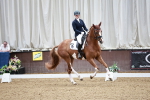 SBM_000479