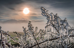 z3723 Frozen in Time