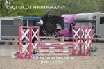 BPP_3530