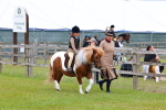 SBM_08088