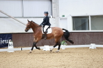 SBM_013411