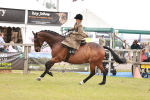 SBM_10991