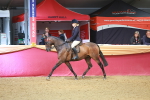SBM_10626