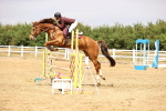 SBM_026201