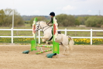 SBM_003881