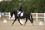 SBM_015008