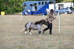 WJ6_6847