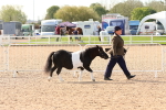 SBM_17974