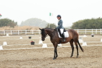 SBM_003911