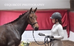 BPP_1494