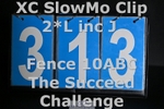 ESP_313