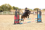 SBM_000703