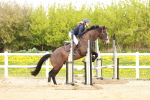 SBM_005034
