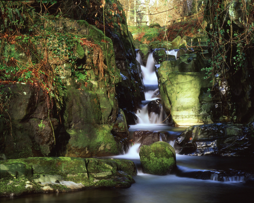 Early morning sunlight at Ballaglass shot on Fuji Velvia film using the Medium format camera.
