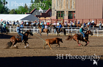 _DSC3156