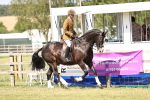 SBM_18594