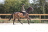 20260802-0713