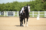 SBM_008011
