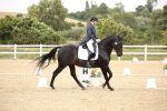 SBM_020299