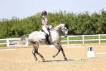 SBM_010101