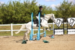 SBM_001272