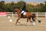 SBM_021900