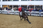 SBM_004077