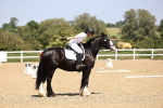SBM_009055
