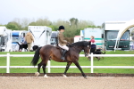 SBM_00216