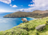 Sheep at Keem Beach at Achill Island
