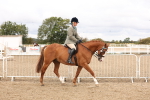 SBM_02793
