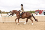 SBM_02846