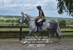 JAC_3072