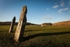 Baluachraig Standing Stones