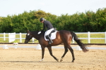 SBM_006965