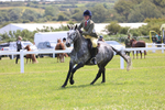 Class 21: Working Hunter 60cm portfolio
