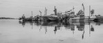 Marina Mono