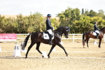 SBM_008800