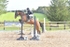 BPP_0838