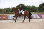 Class 4 - Novice 6 portfolio