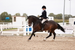 SBM_19032